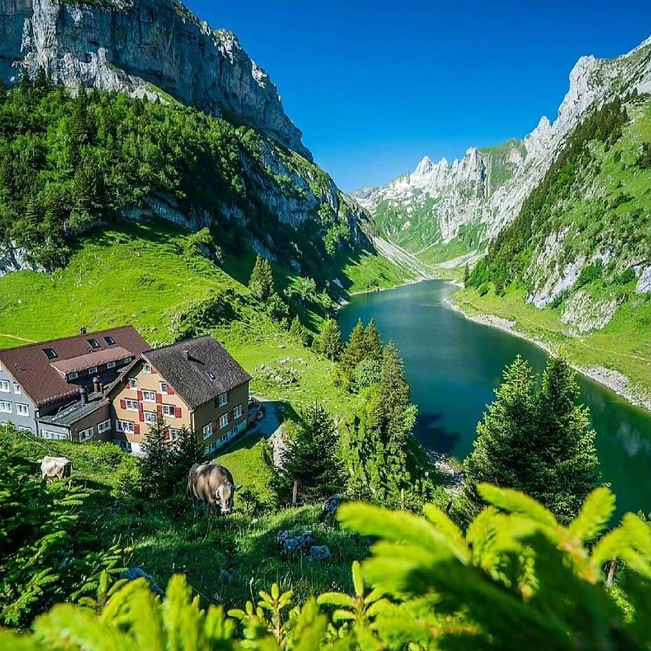 水木相生「男女头像背景图」