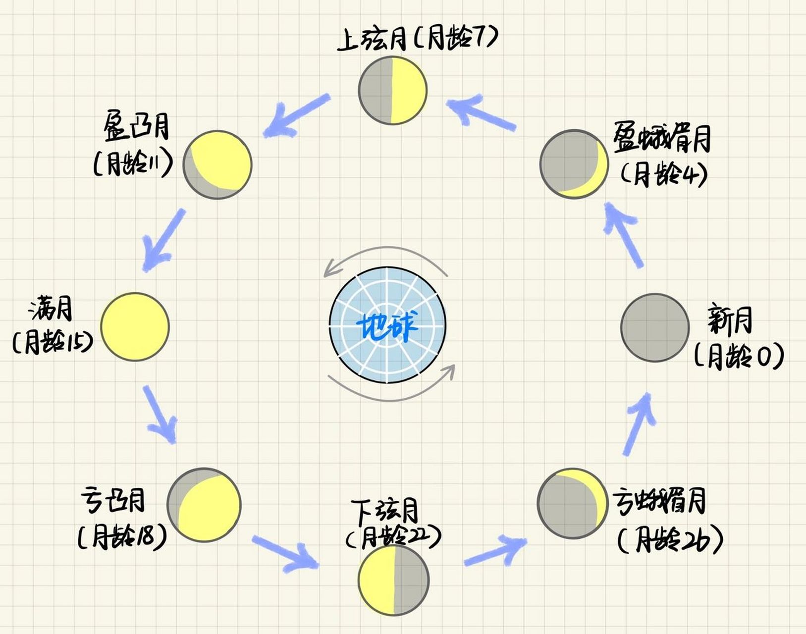 月相变化图 卡通图图片