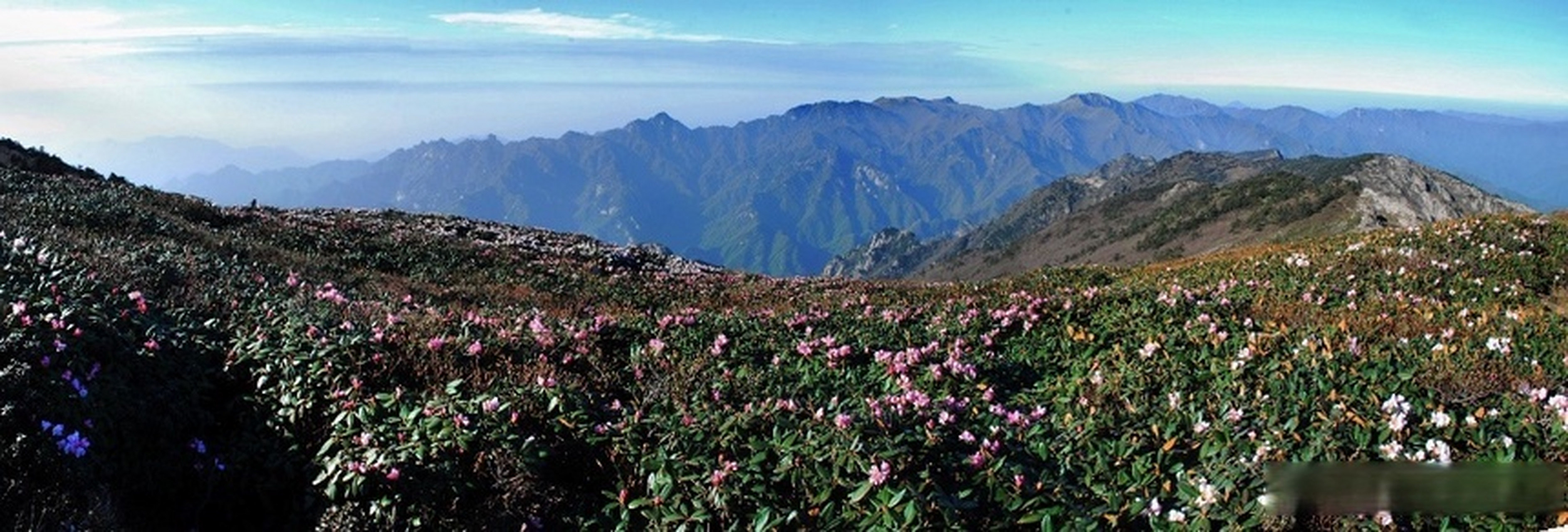 级旅游休闲街区# 牛背梁国家级旅游度假区地处秦岭南路柞水县营盘镇