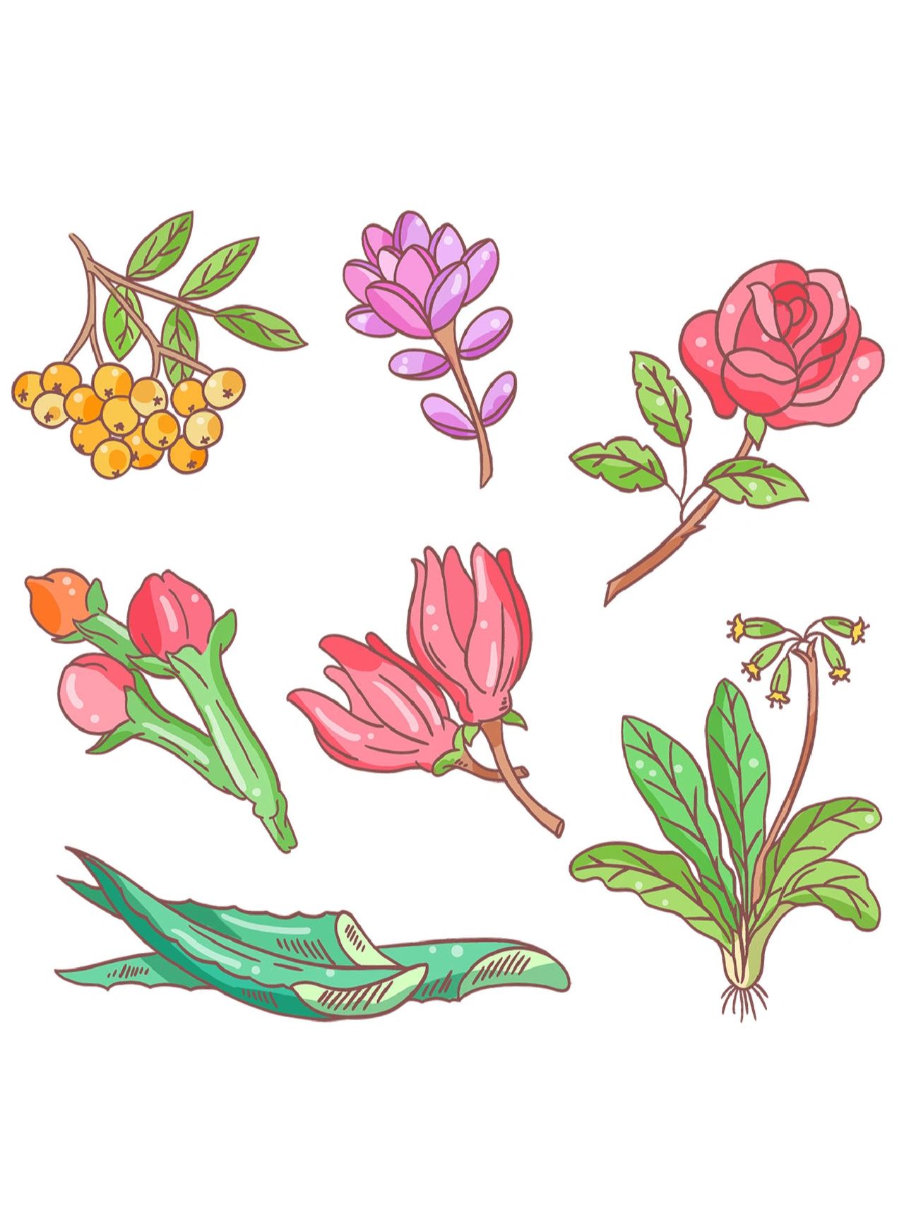 免抠素材 | 卡通植物花卉元素