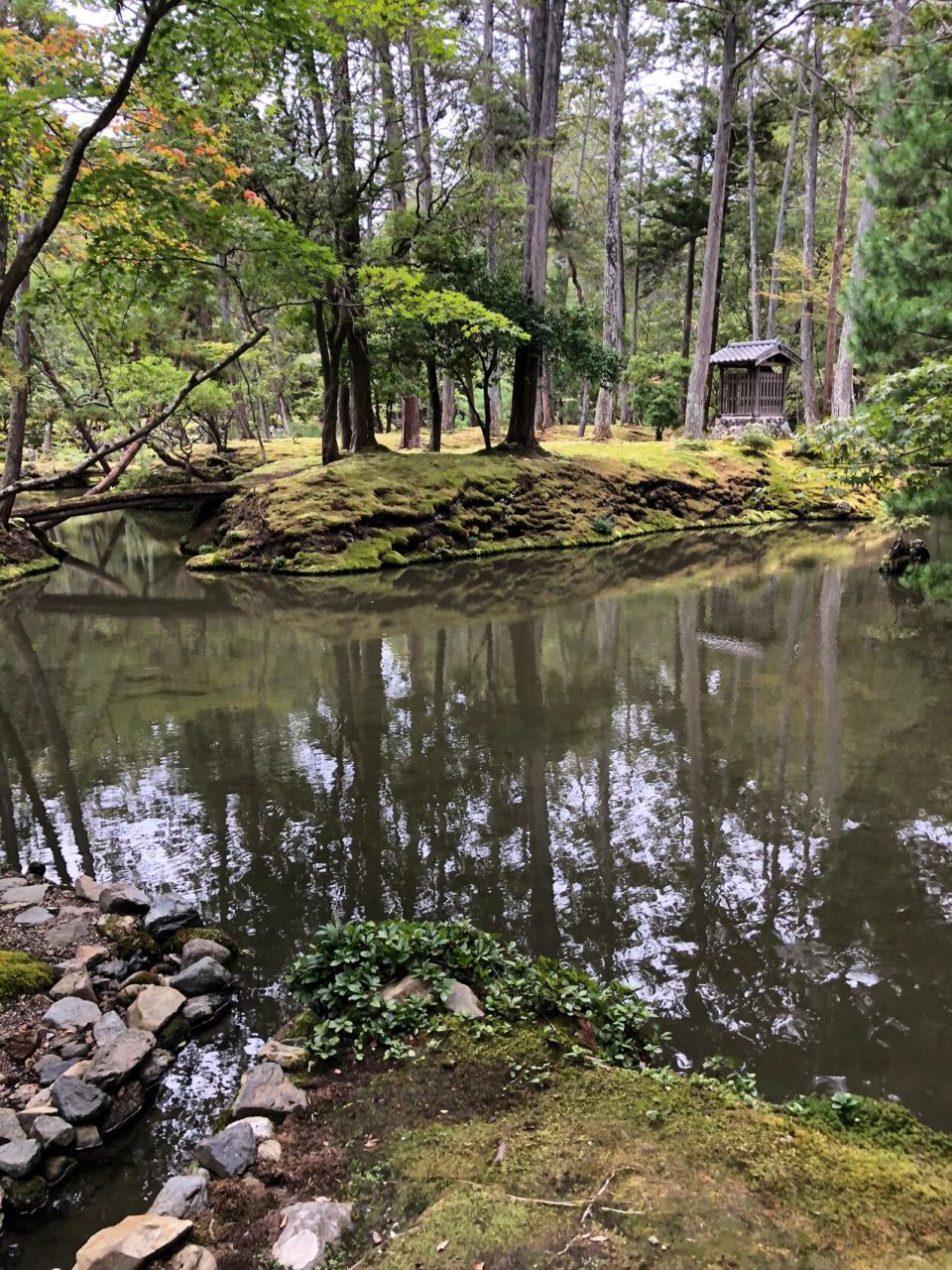 日本西芳寺图片