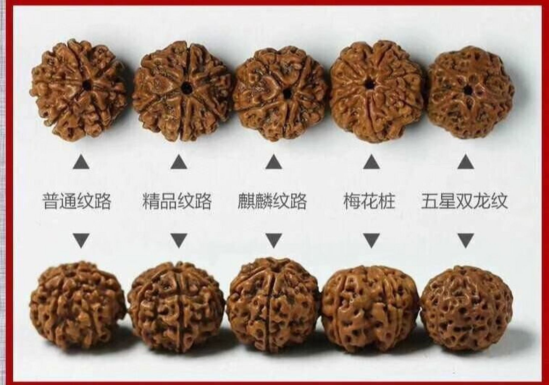 到底几 一直以来很多刚入门的玩家入手金刚菩提时,都会问这样一个问题