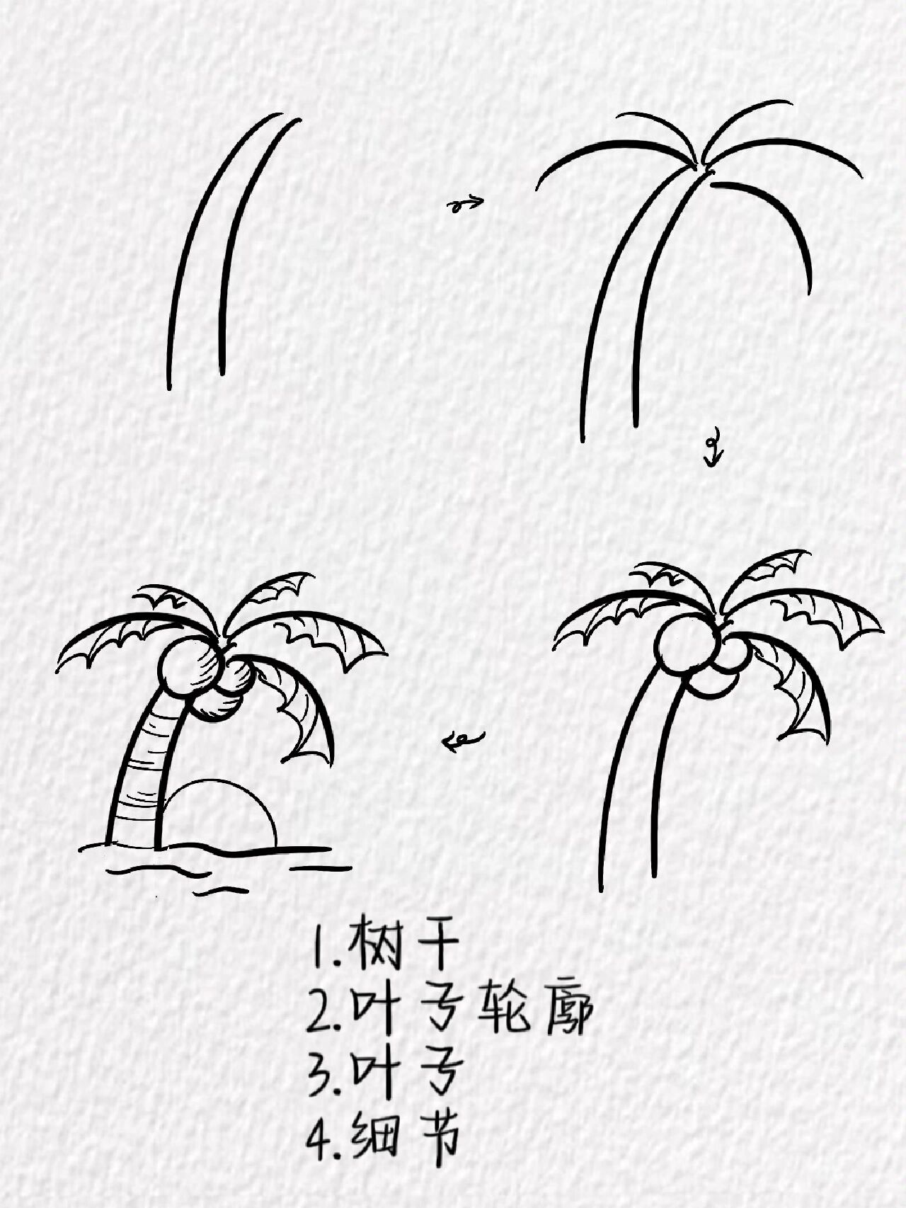 椰子简笔画～