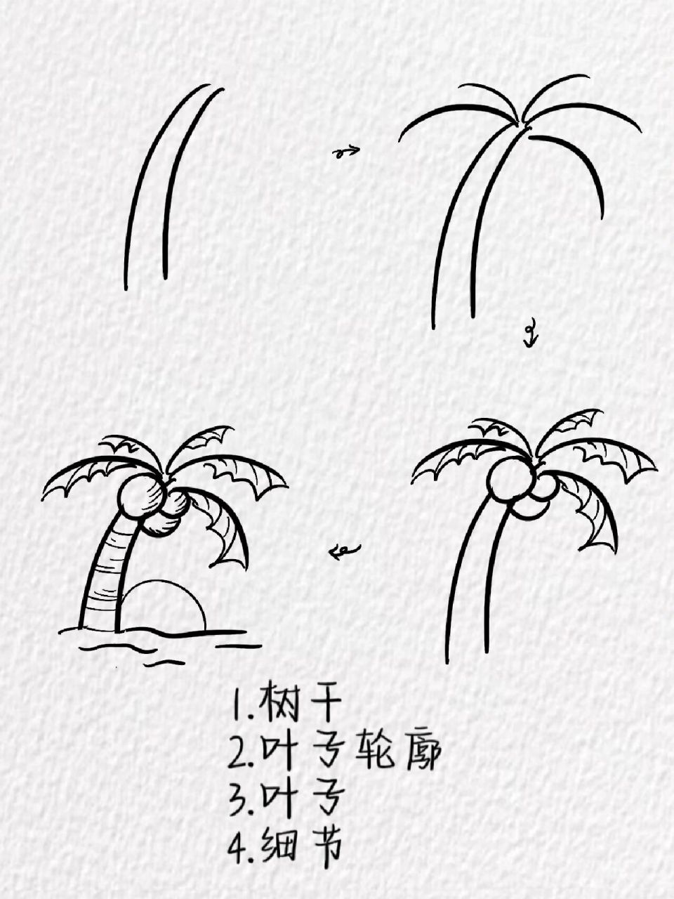 海南椰子简笔画图片