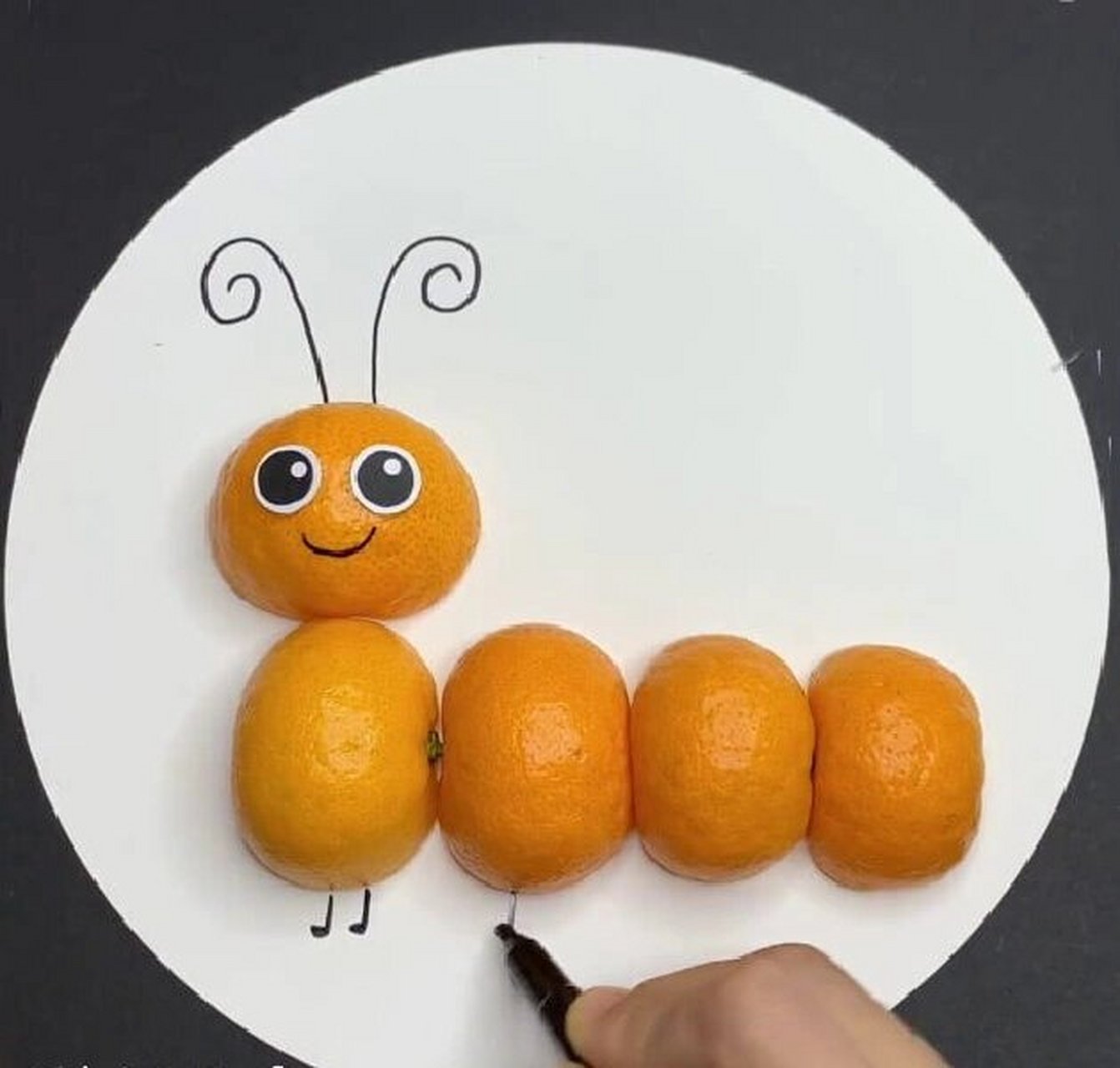 柚子皮艺术手工制作图片