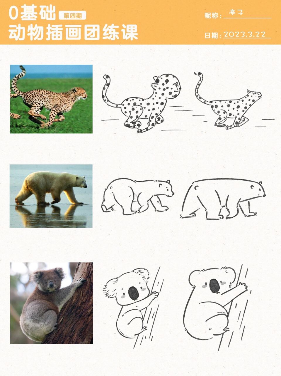 0基础学画画|98用几何造型法画可爱小动物 又一波有趣的作业