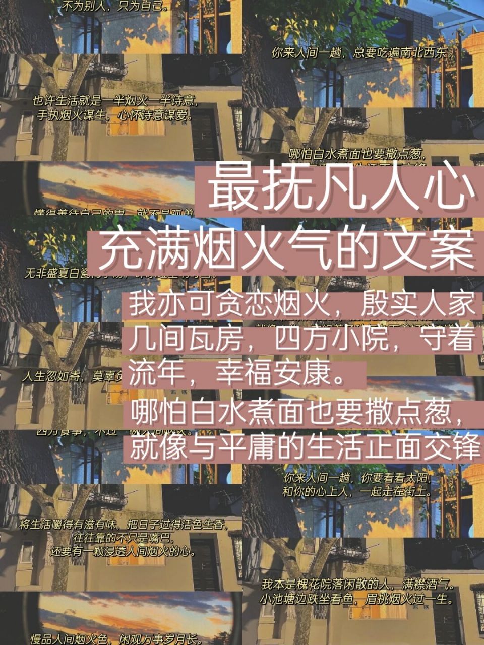 烟火气文案91我本是槐花院落闲散的人 90哪怕白水煮面也要撒点葱