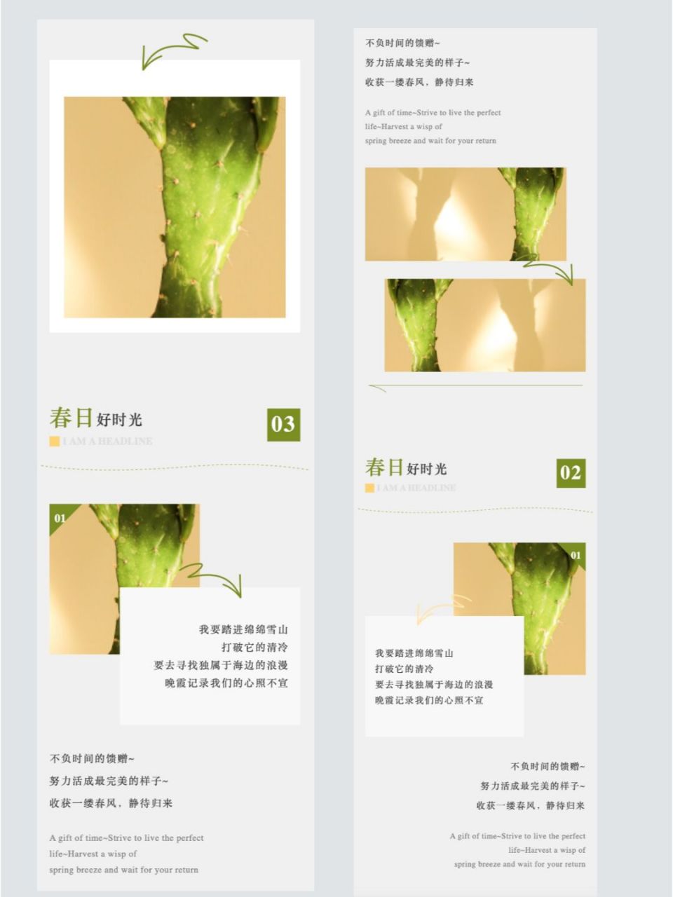 公众号排版 轻奢大气极简ins风 高级灰02的打底背景 配上文艺质感的