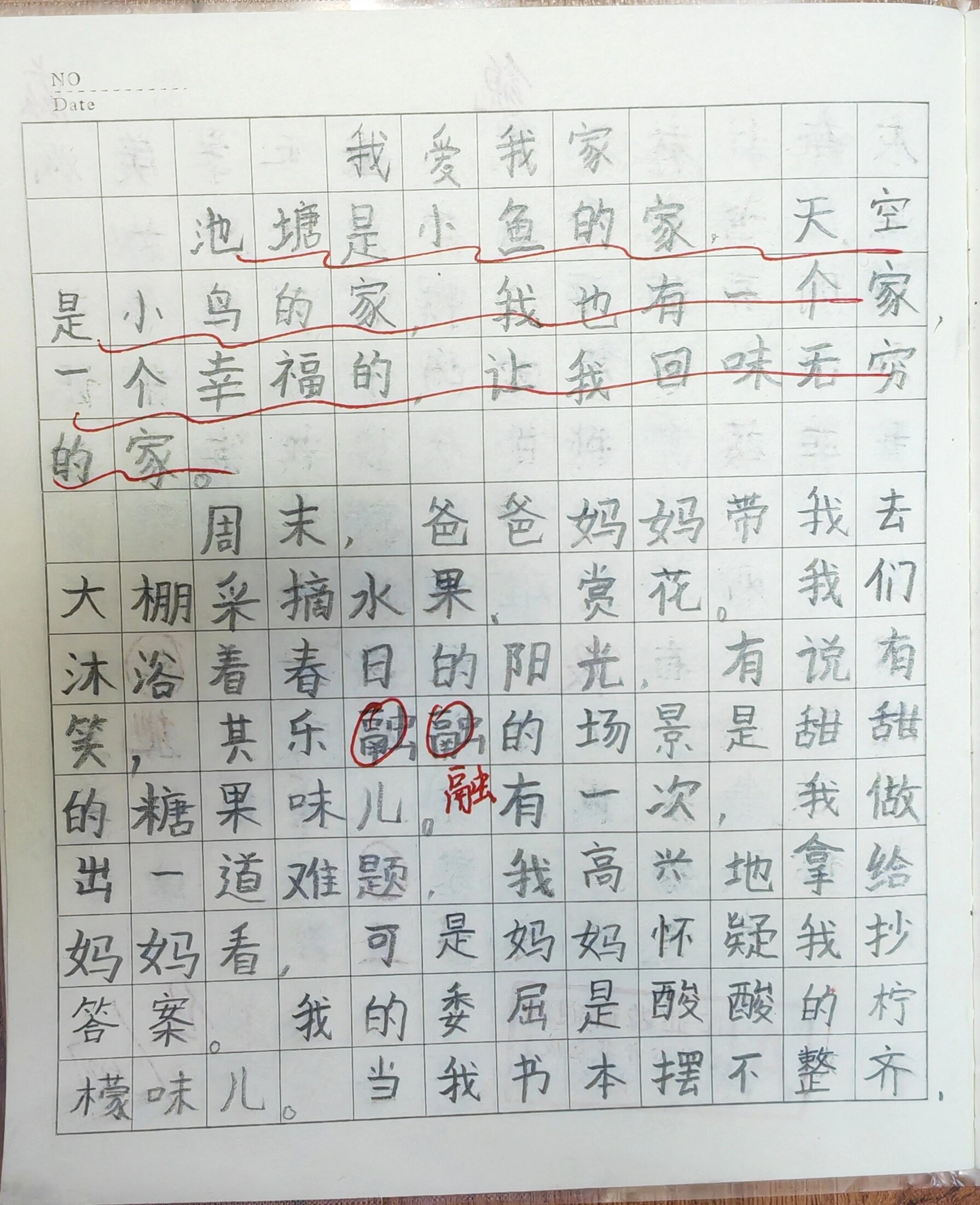 我的家作文 100字图片