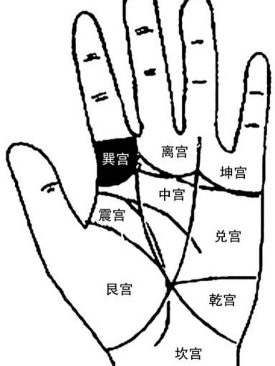 巽宫手相图片