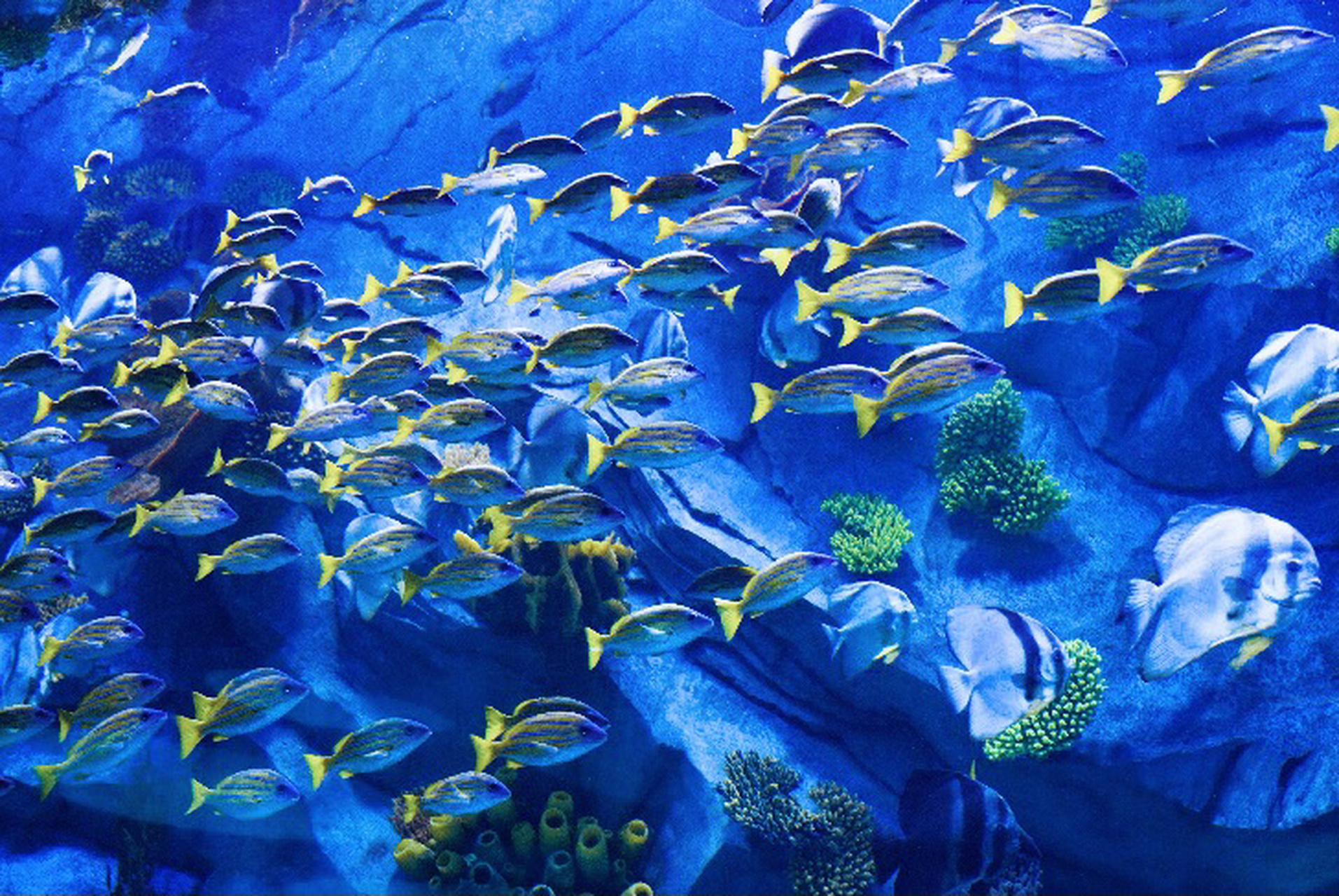 昆明融创滇池后海两日游攻略93闺蜜游超实用 91趁着端午小假期和