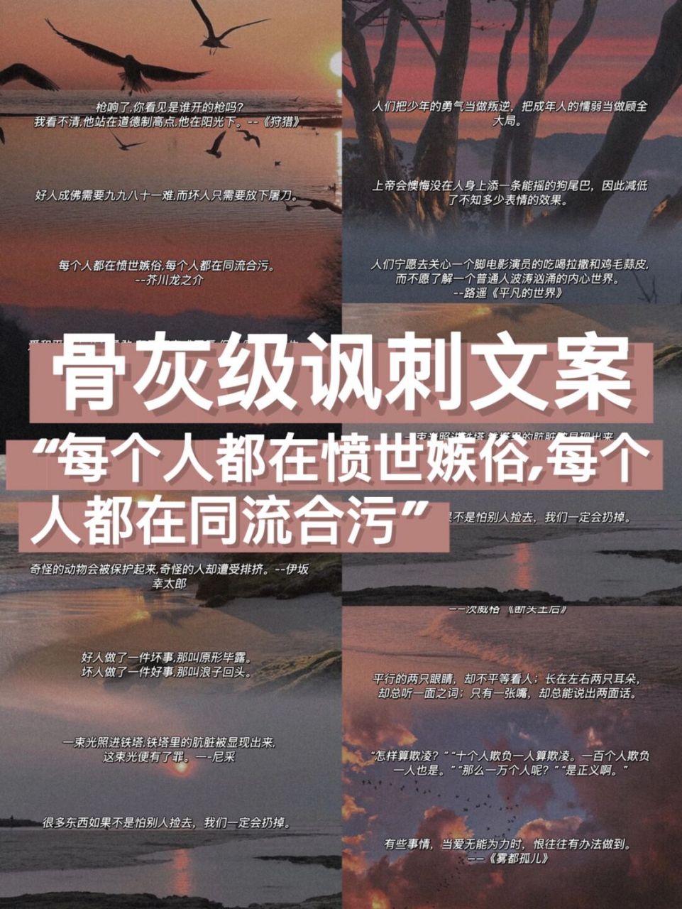 每个人都在愤世嫉俗,每个人都在同流合污