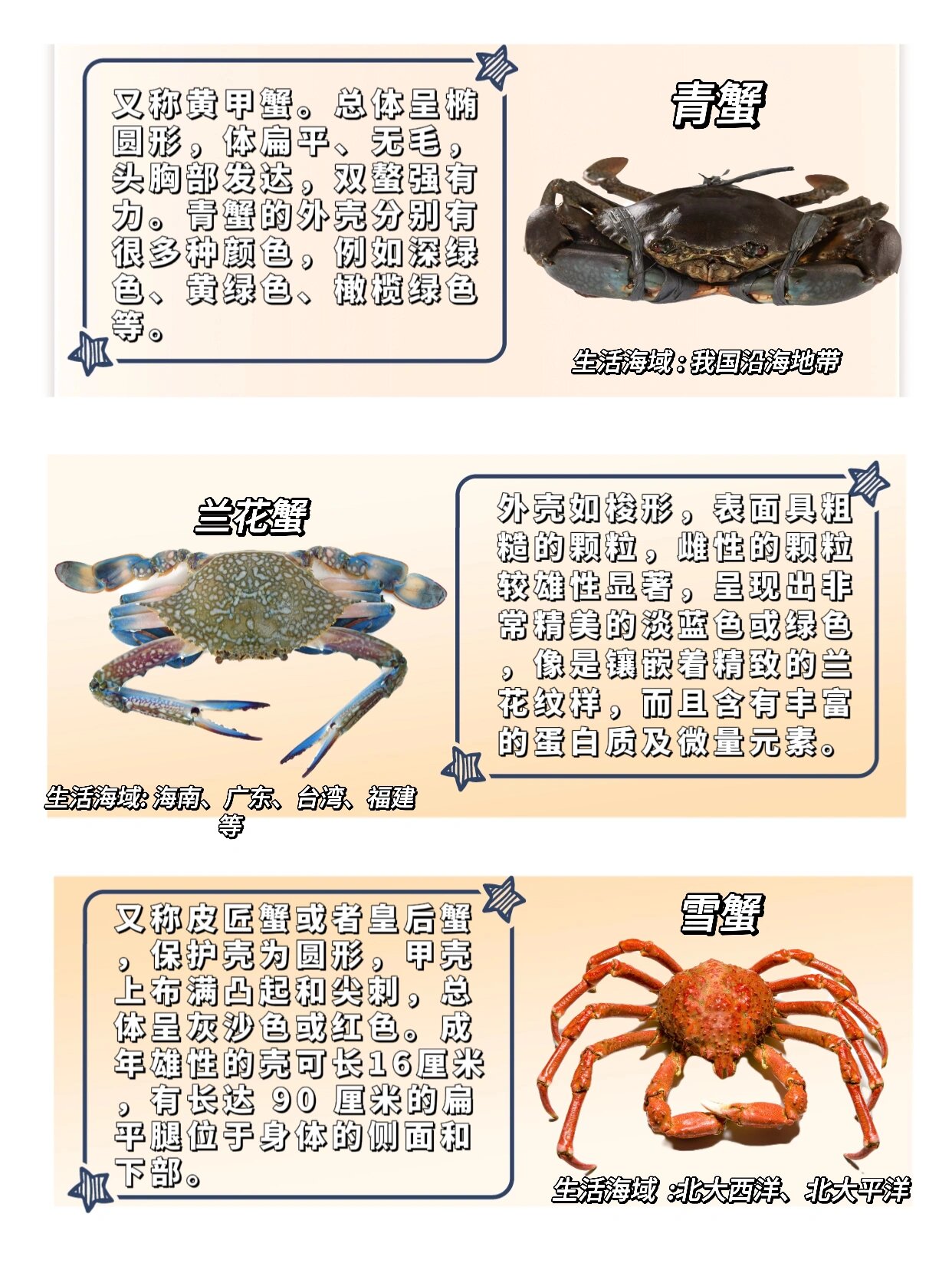 自然科普|开渔期16615招教你分辨螃蟹75