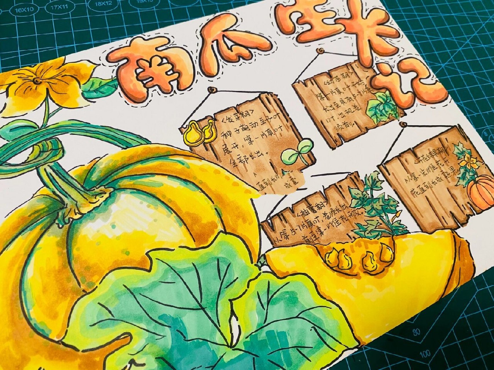 手抄报上色《南瓜生长记》 🌟原创手抄报,配套线稿3.6✔️