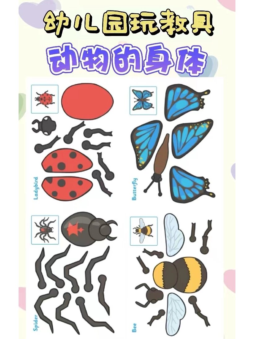幼儿园玩教具‖动物的身体 动物的身体  拼图