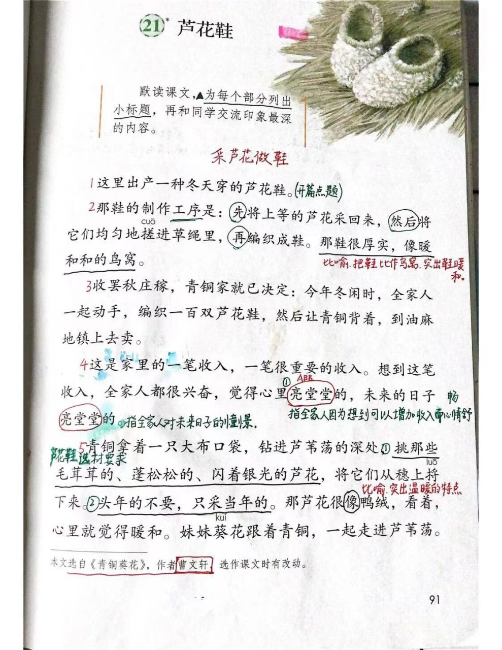 四年级语文下册第21课《芦花鞋》笔记更新   不游就会沉 无论当下如何