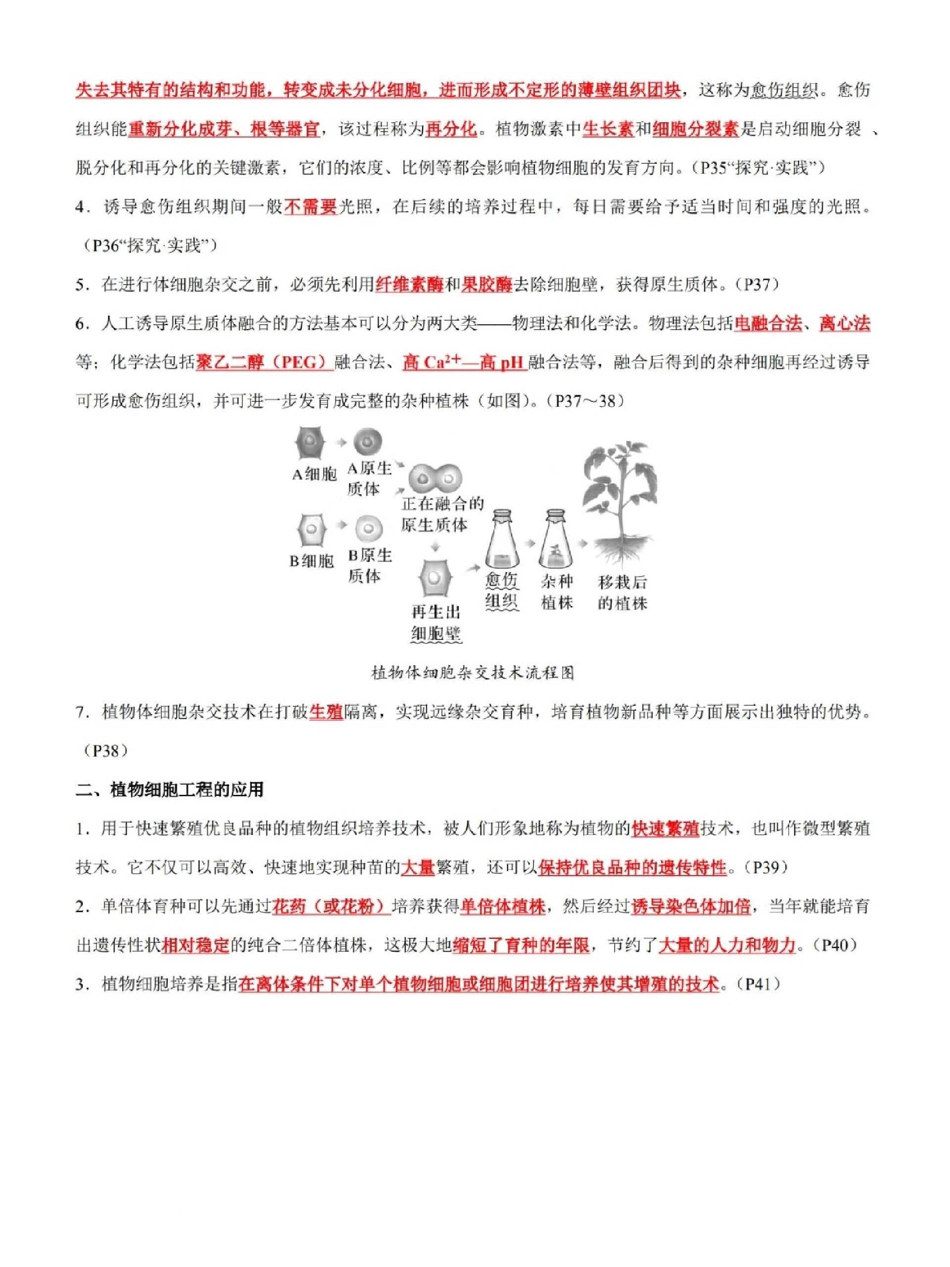 细胞工程知识点总结图片