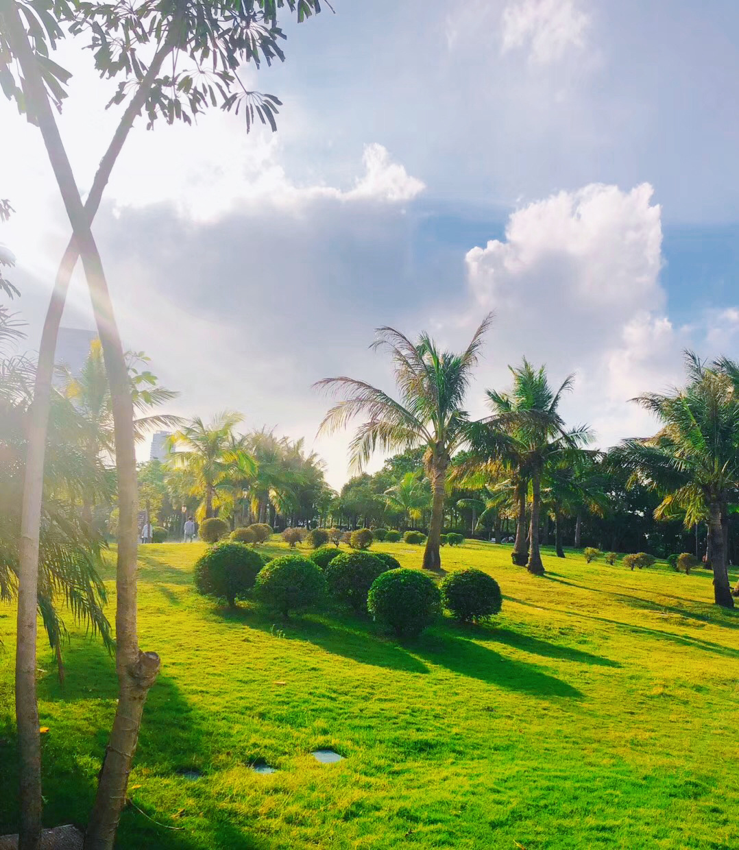 阳光 3, 因为你爱上整个夏末,我开始迷上你暖暖酒窝 4, 夏天要来了