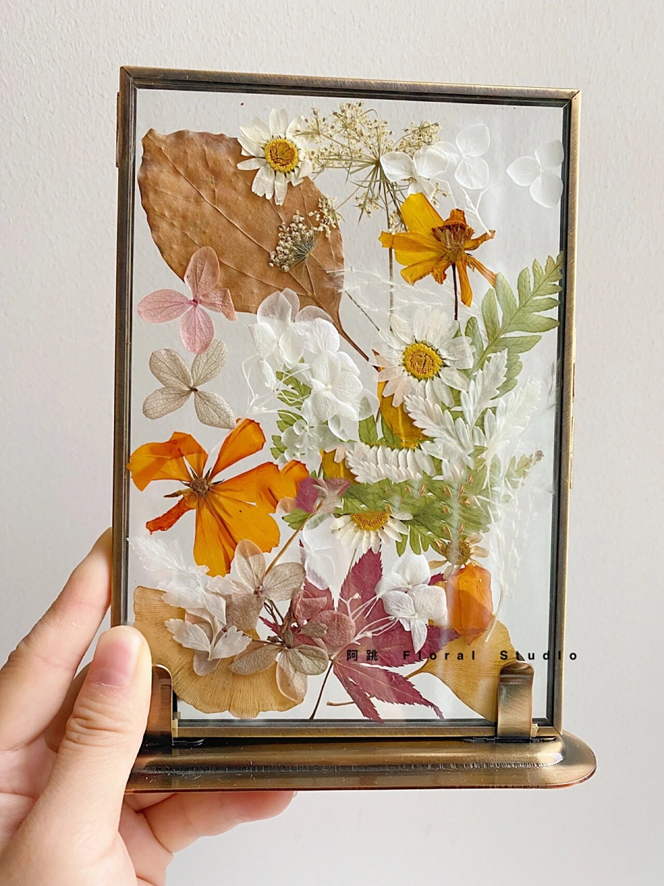 秋意渐浓 分享三款秋天的植物标本 红枫93和银杏是去年秋天收集的