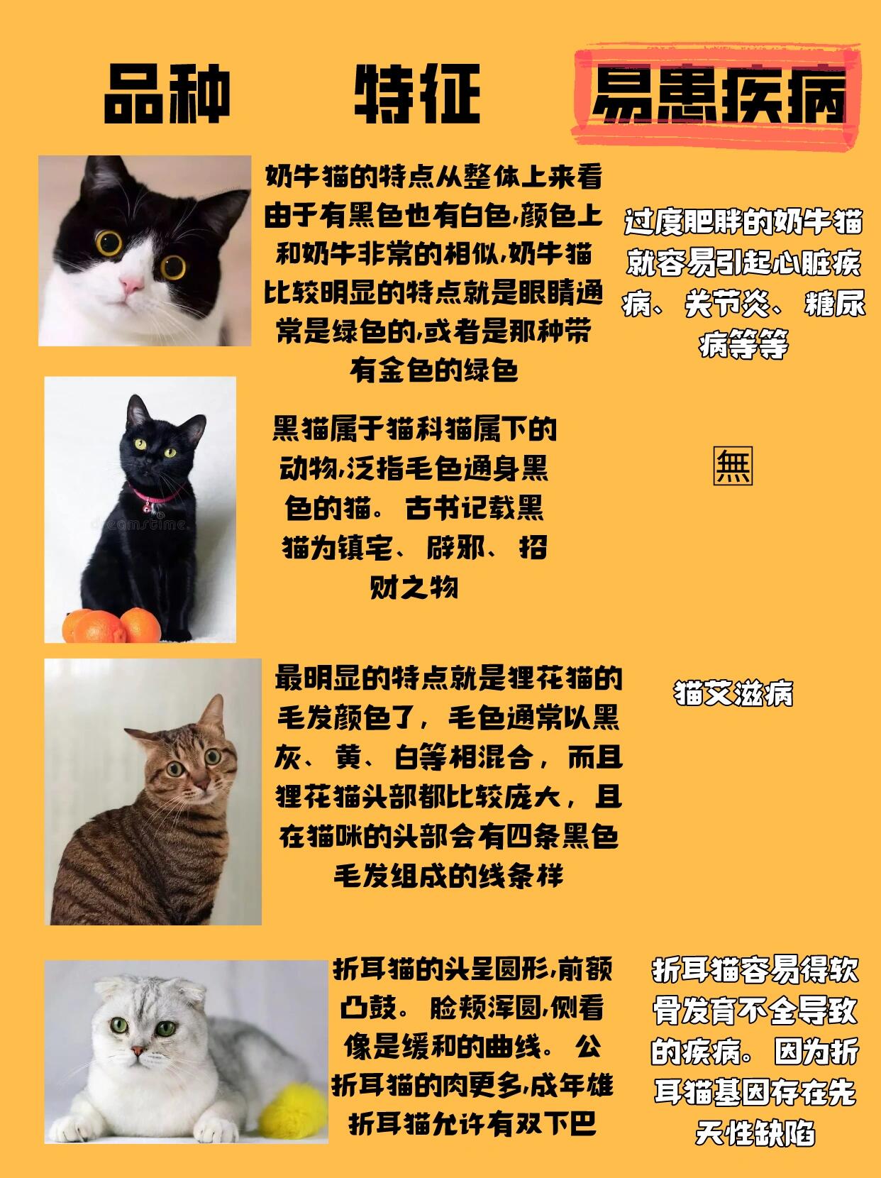 【科普】猫咪种类科普73