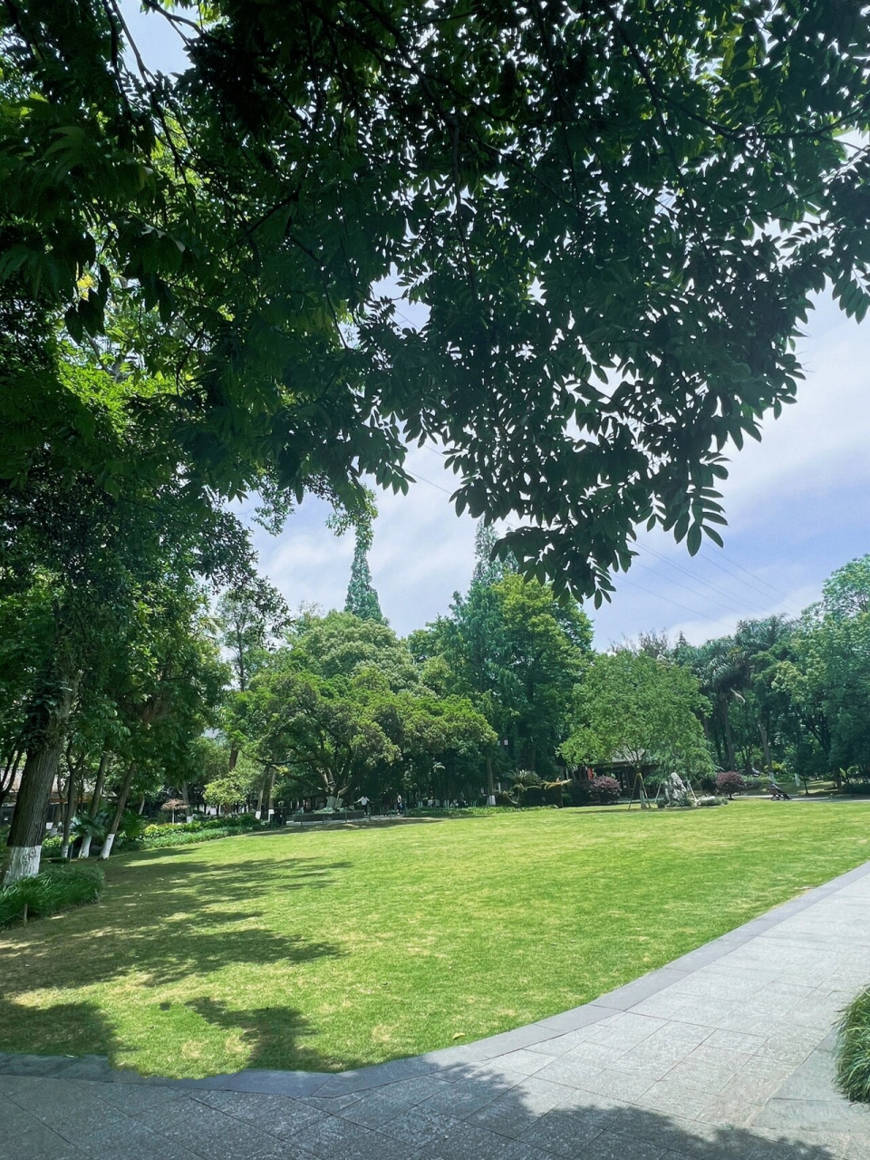 温州|闹市区的一隅静谧917415墨池公园 - 市中心的小众公园