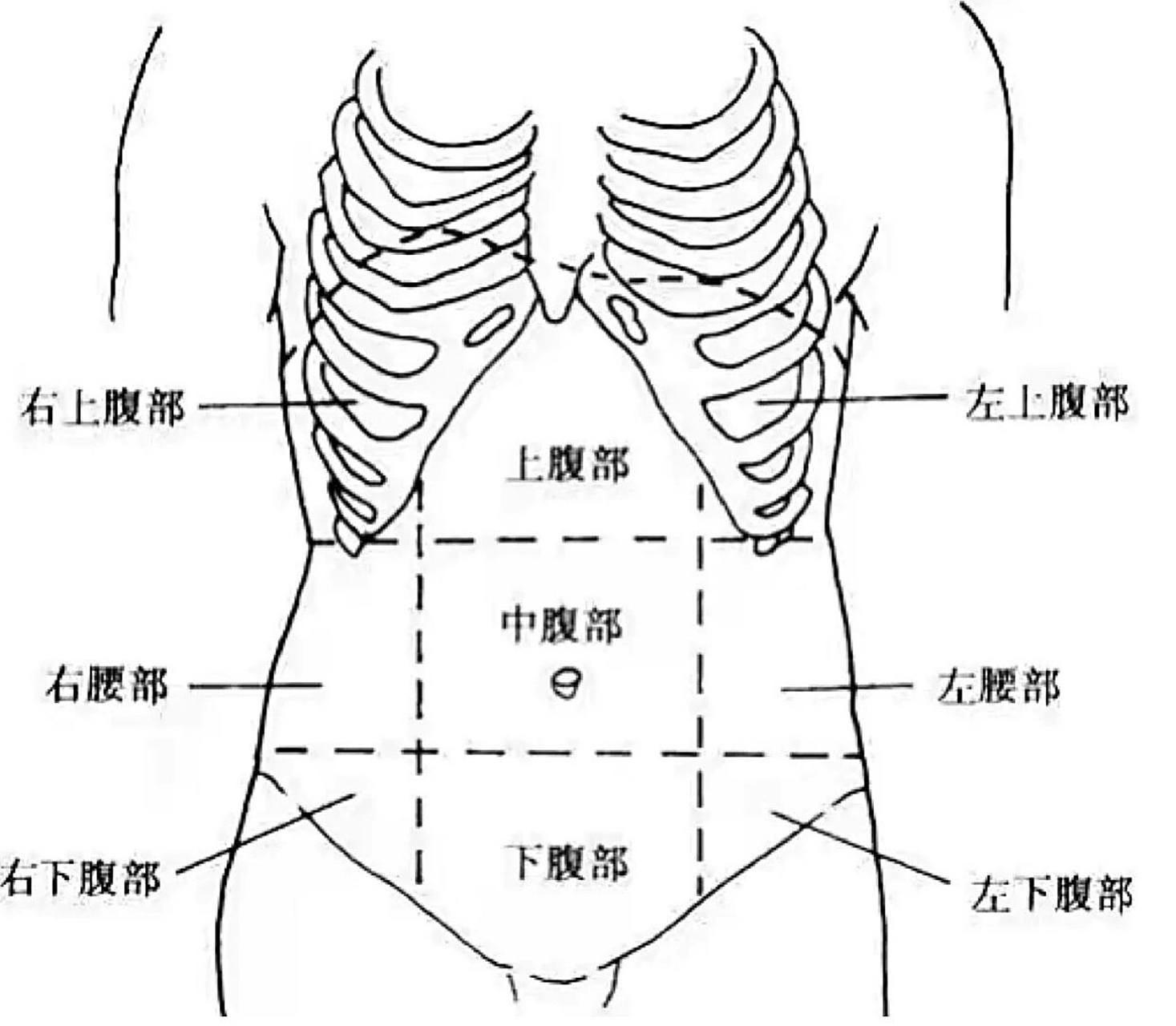 下腹灼痛怎么办 就在下腹部,骨头正中间上来这个部位,每天折磨的好