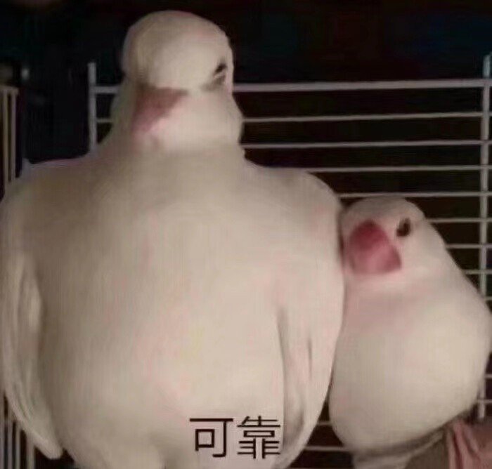 我淦表情包