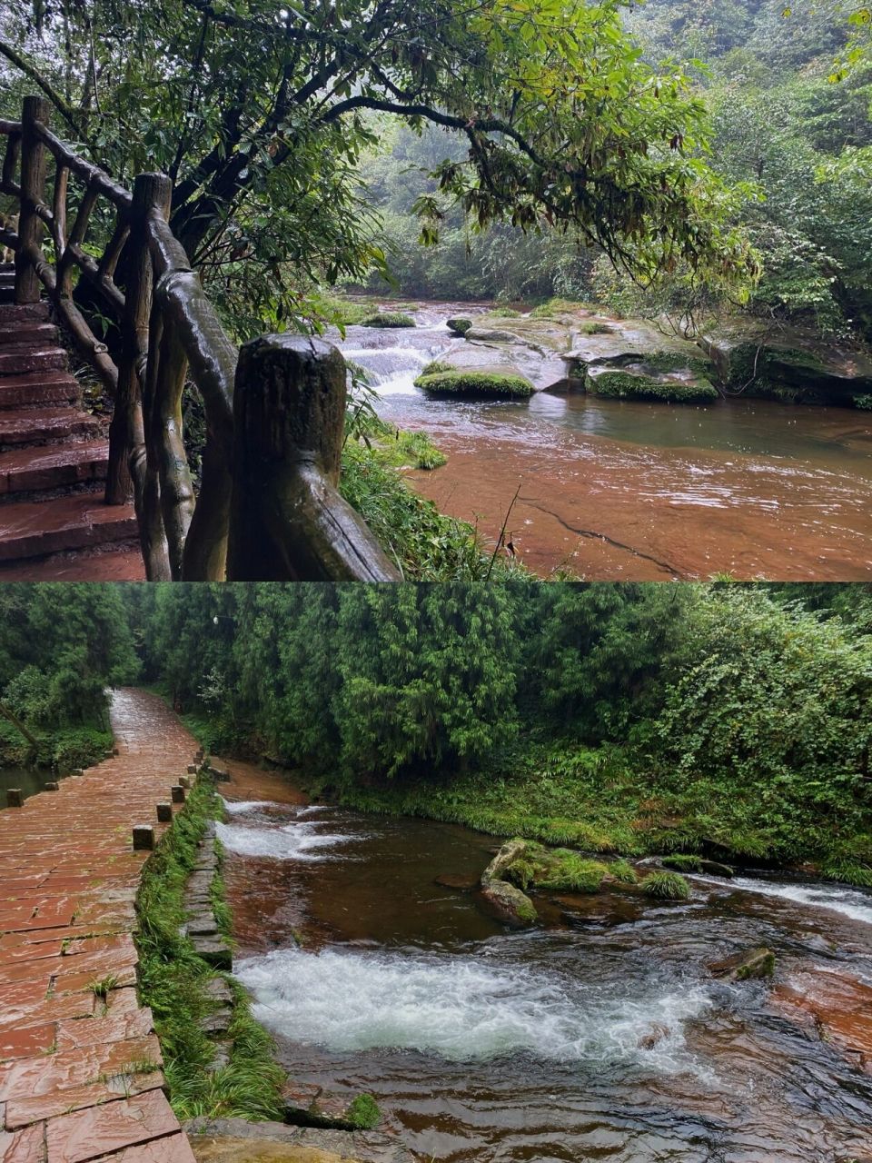 邛崃天台山|成都周边游08 91拍摄于2021.10.