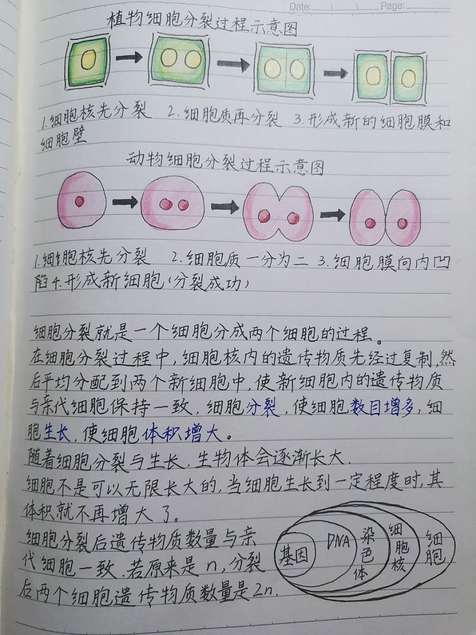 七年级生物笔记!寒假复习稳了 七年级上册生物学习笔记图
