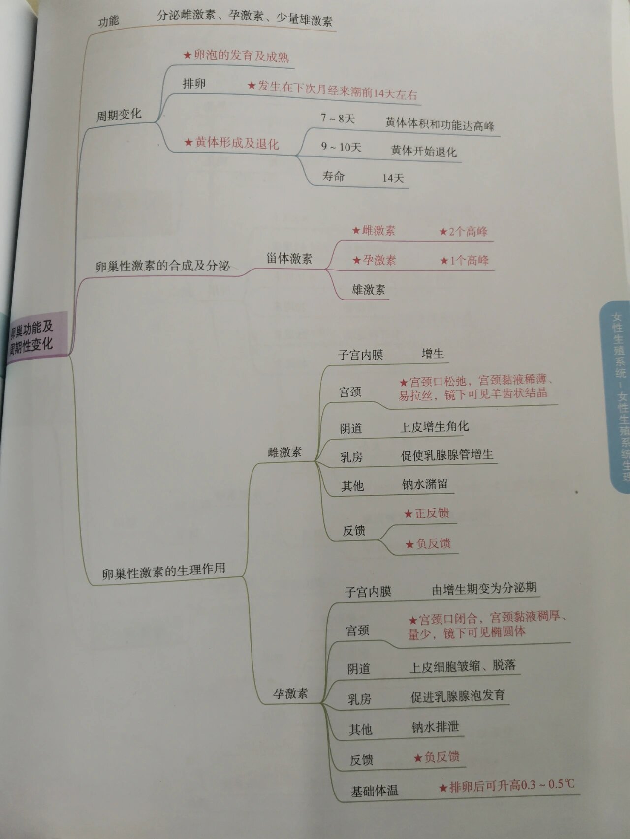 思维导图之妇产科学(一) 女性生殖系统开始更新啦 执业和助理也快报名