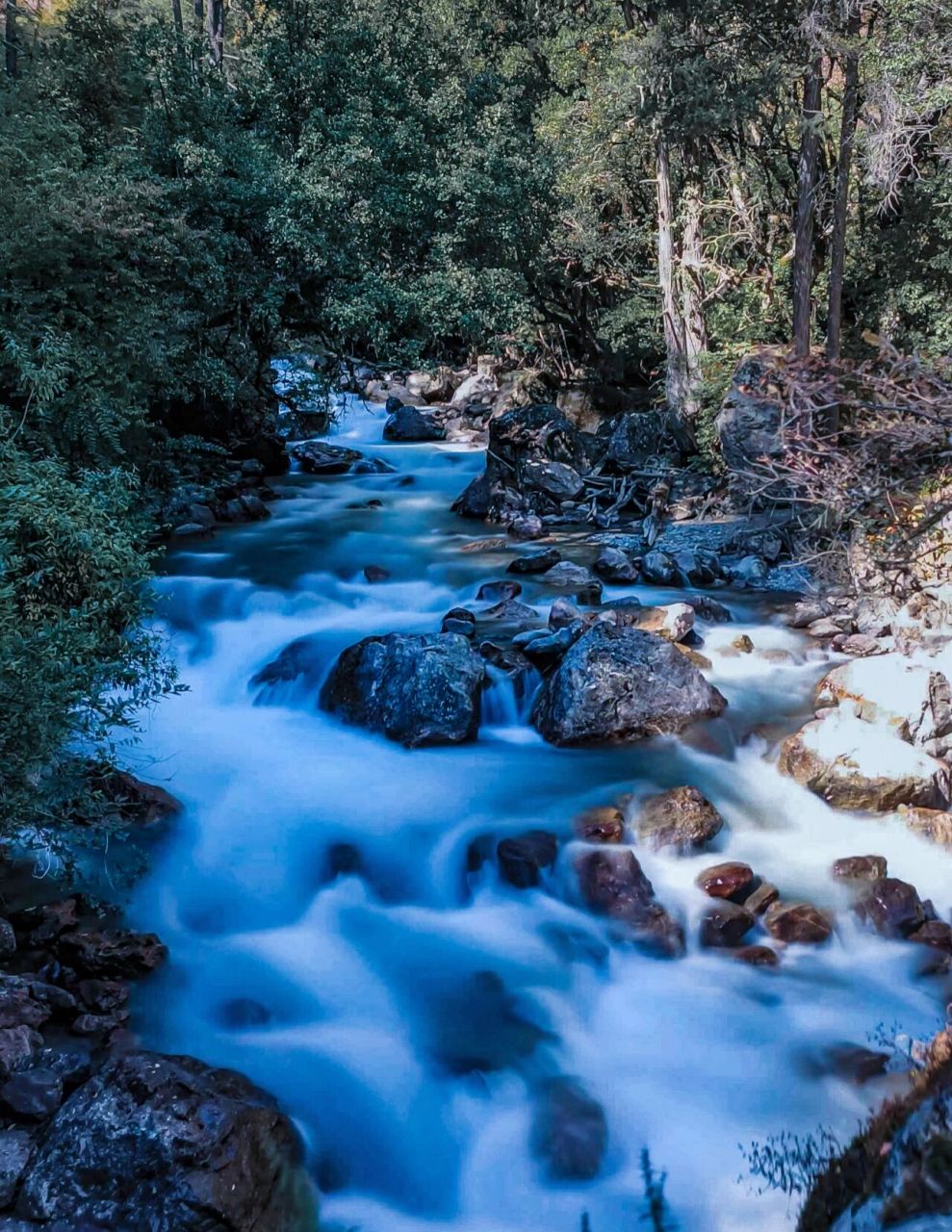 一边是稀石碎块落叶铺就的小路,一边是湍急的峡谷溪流.