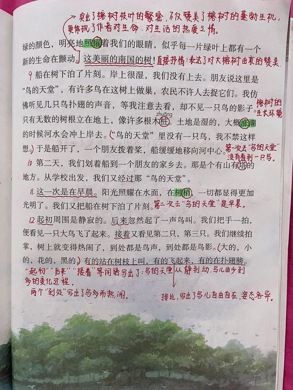 五上语文23《鸟的天堂》课堂笔记 今日打卡949494