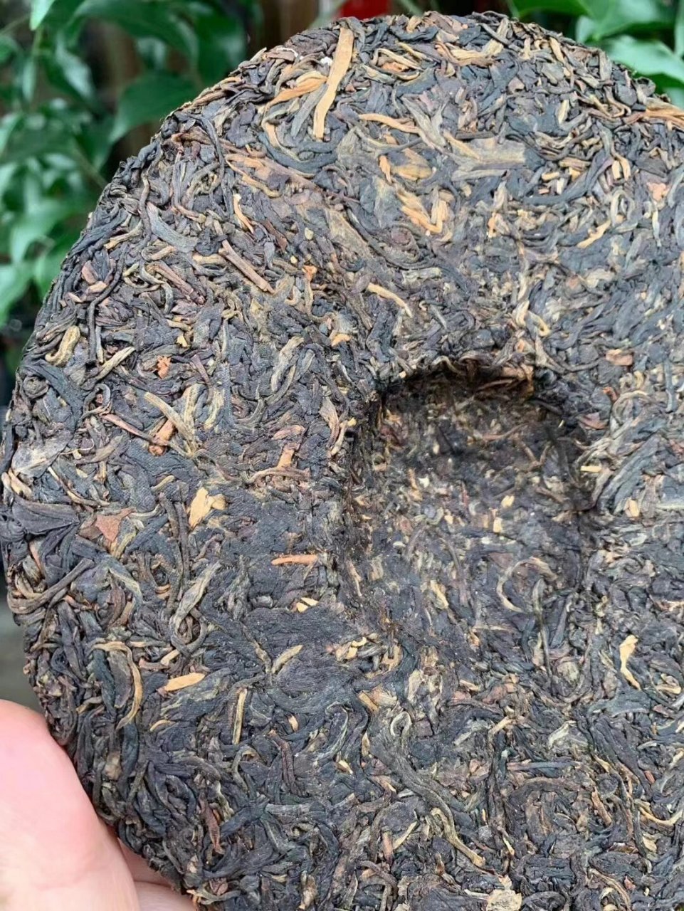 攸乐古树茶 2005年新荷号茶叶公司定制头春攸乐古树茶生饼,攸乐山被列