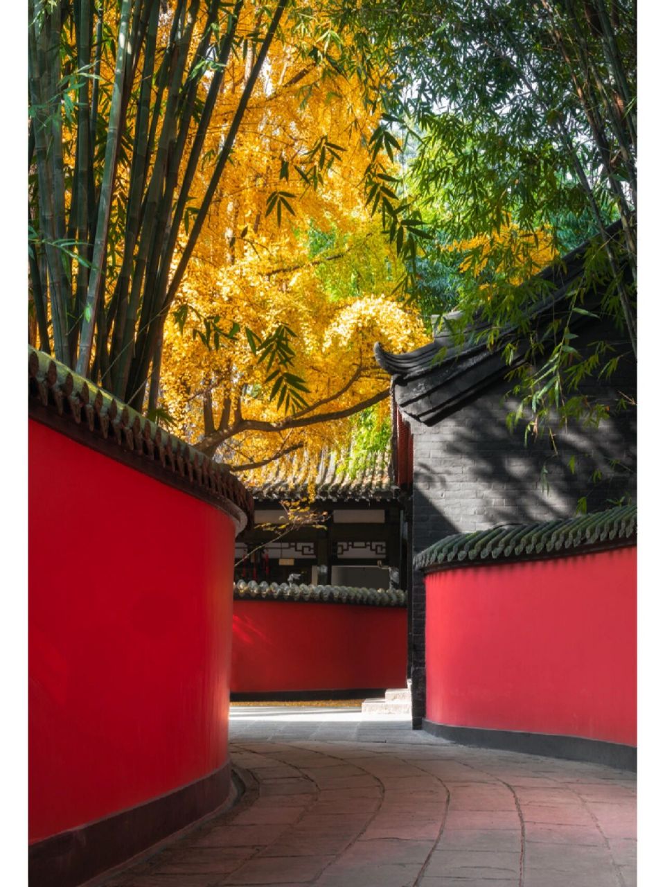 成都武侯祠红墙vs成都杜甫草堂红墙 前三张是武侯祠,后四张是草堂