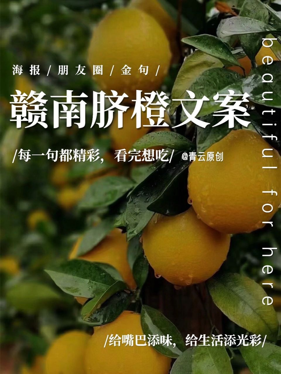 脐橙水果文案97每一句帮你狠狠出单.