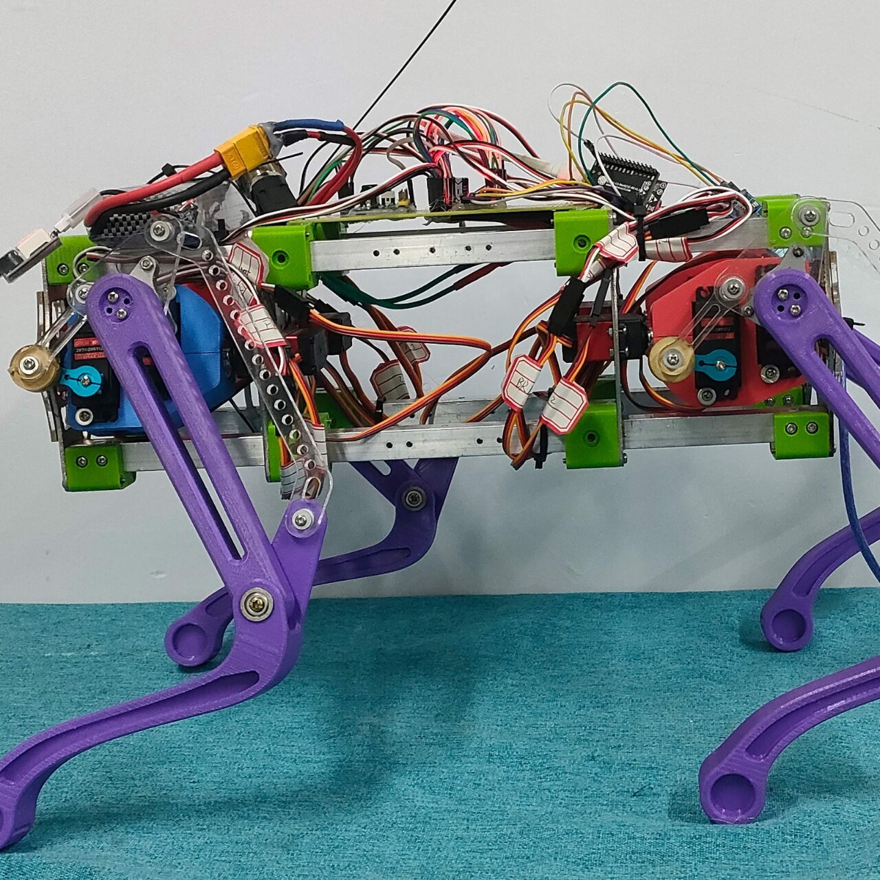 可定做四足哺乳类仿生机器人实物