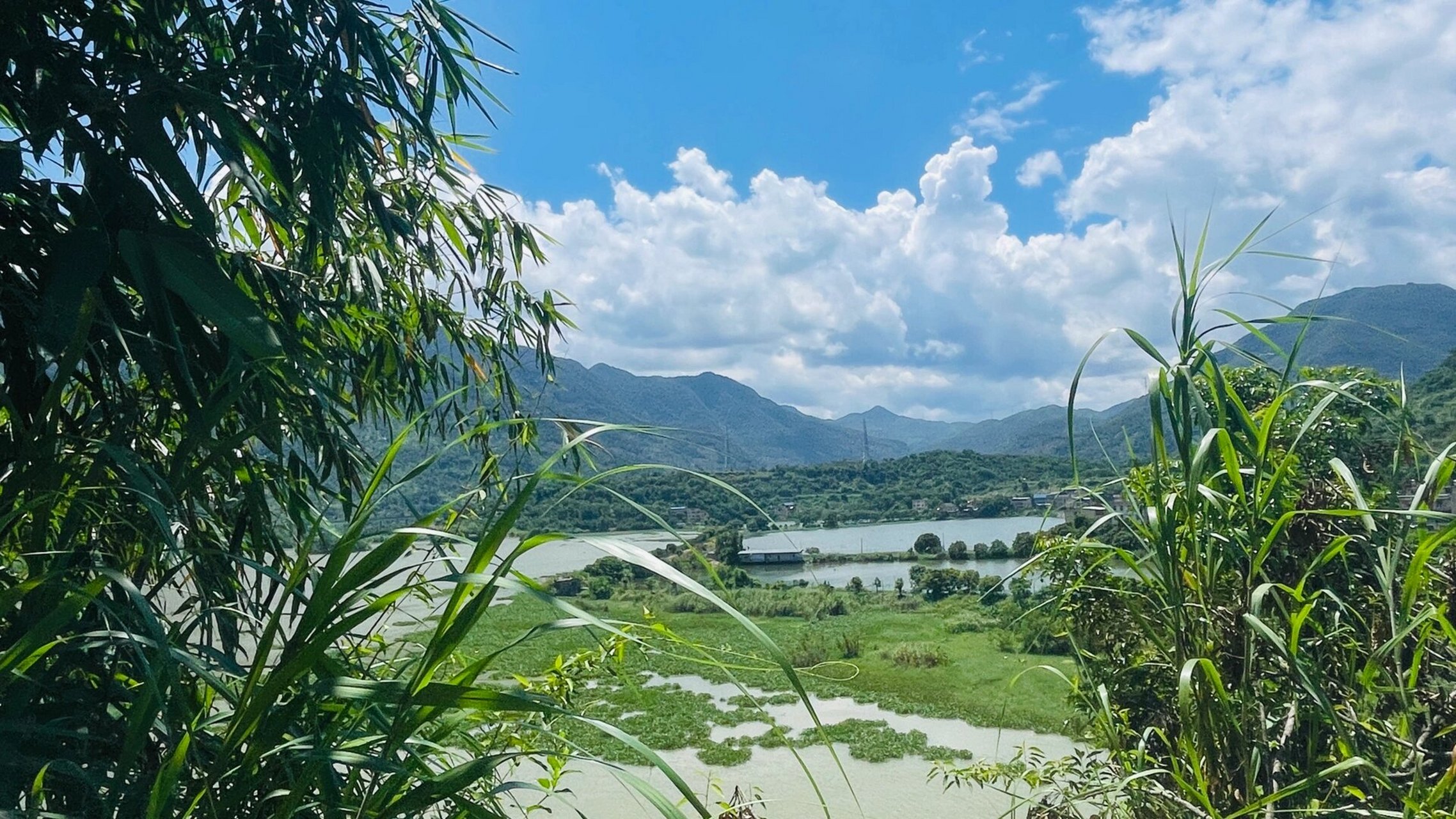 金水湖景区图片