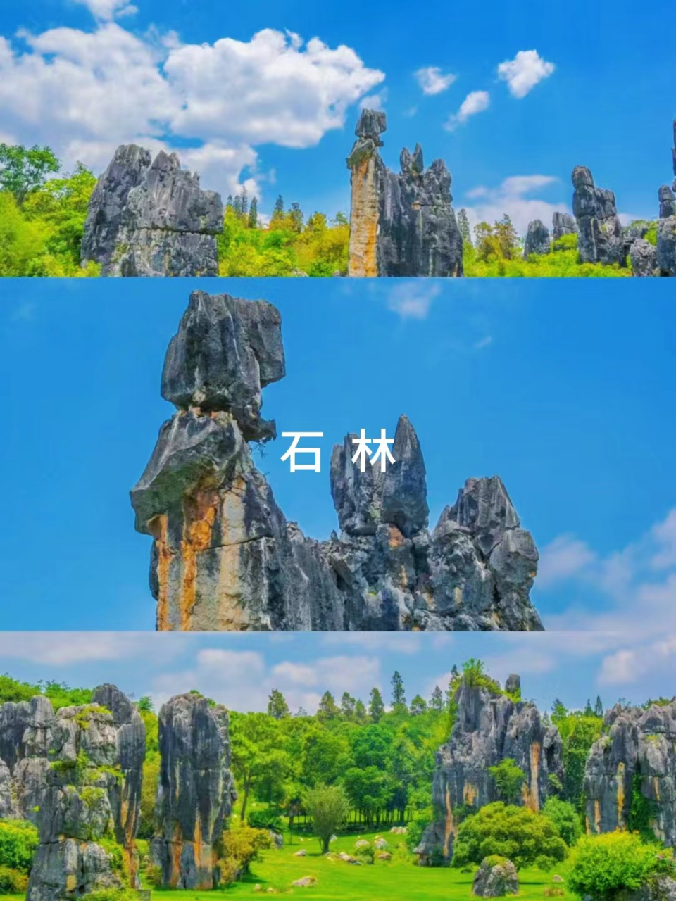 石林景点的详细介绍 昆明→石林,来回一日游.