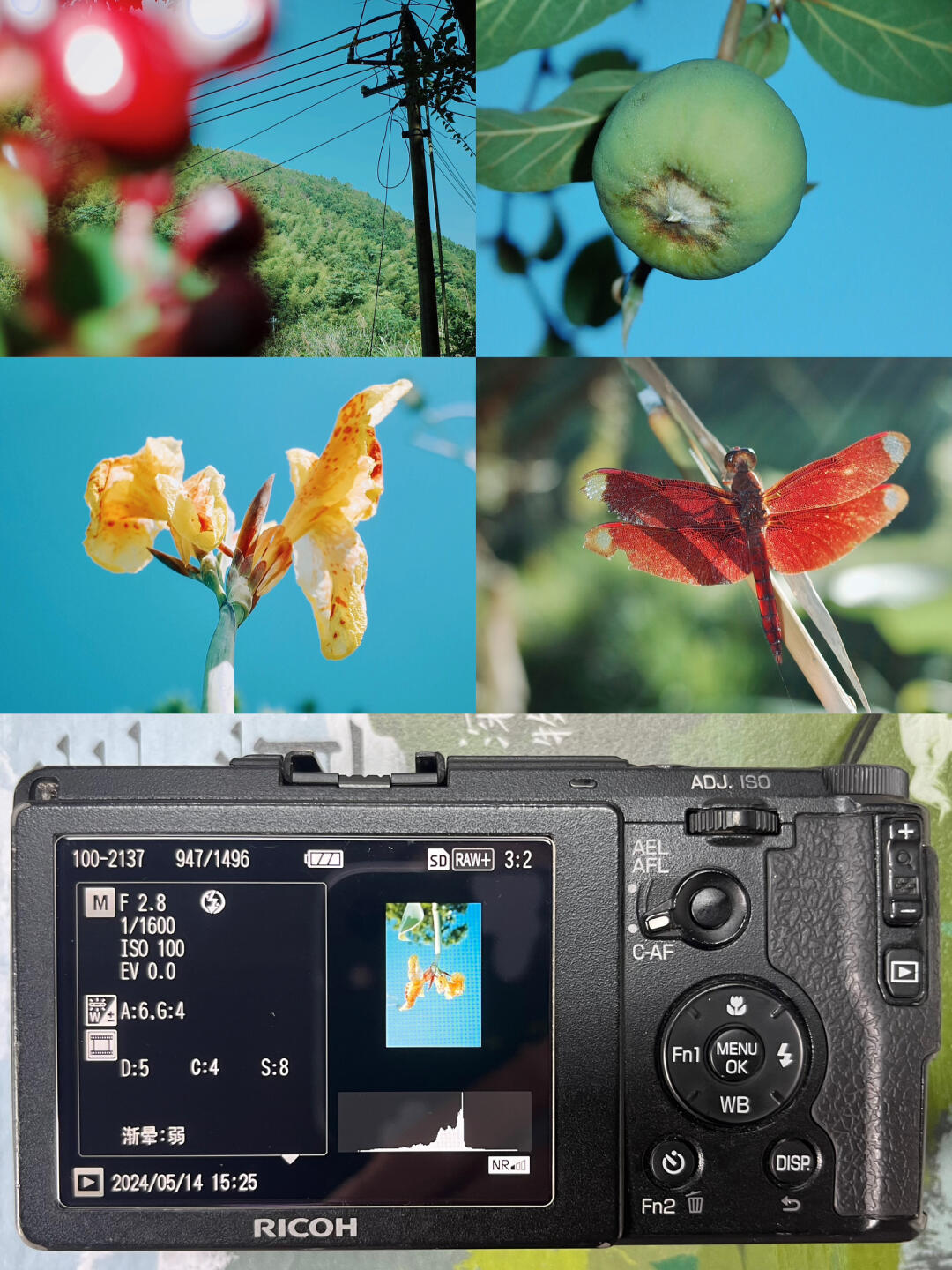 试过了,理光gr2直出万能参数| 一键收藏98