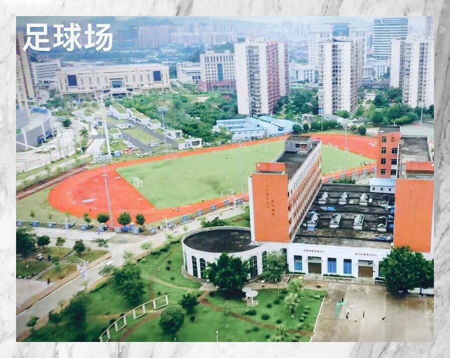 梧州职业学院logo图片