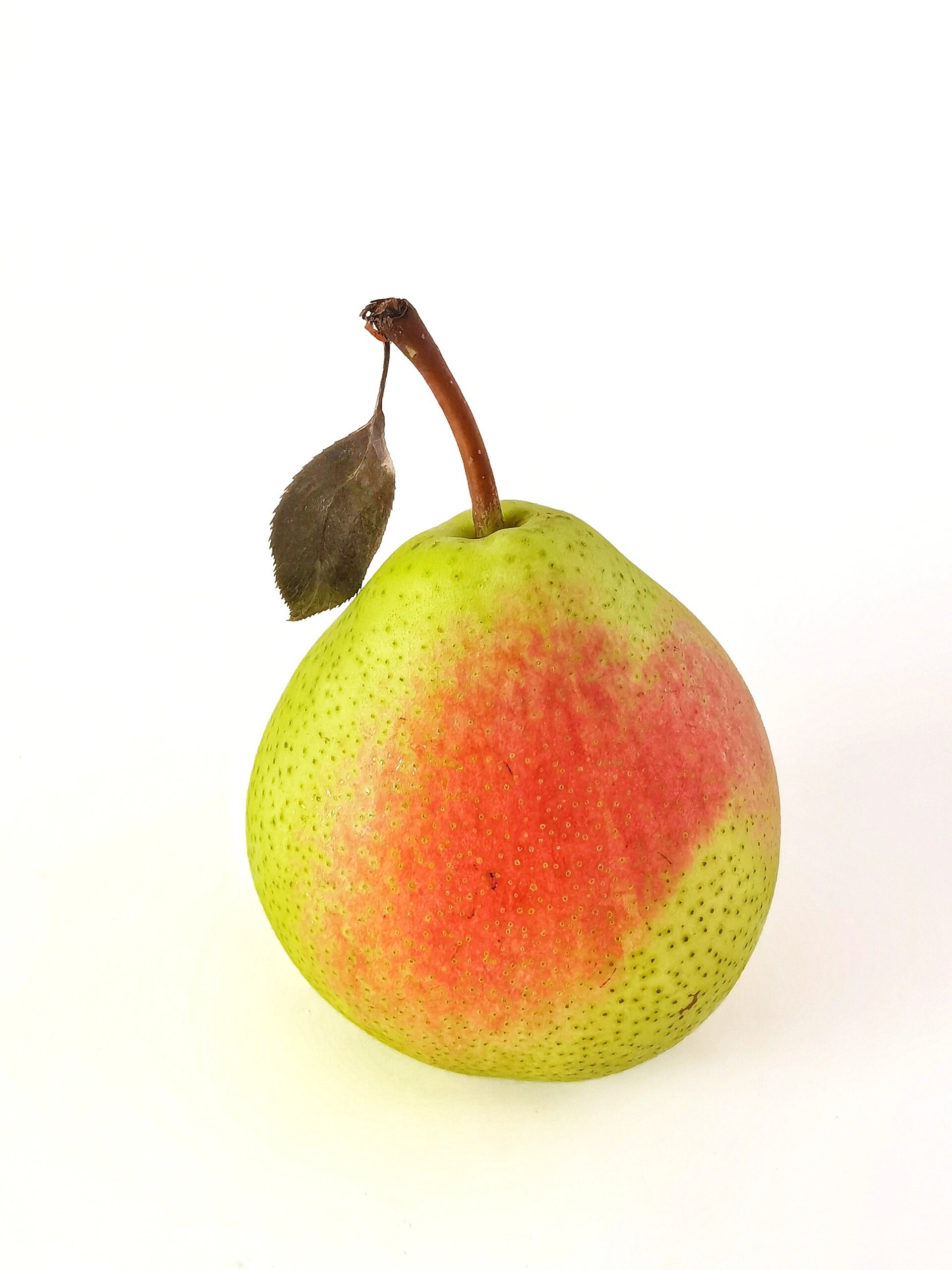 绘画素材286:七月红梨子