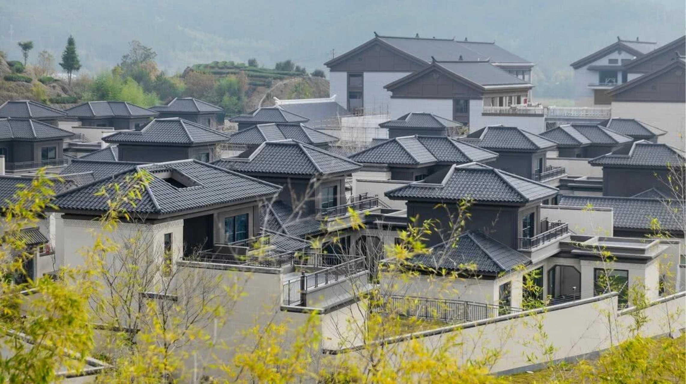 武夷山建发山外山别院图片