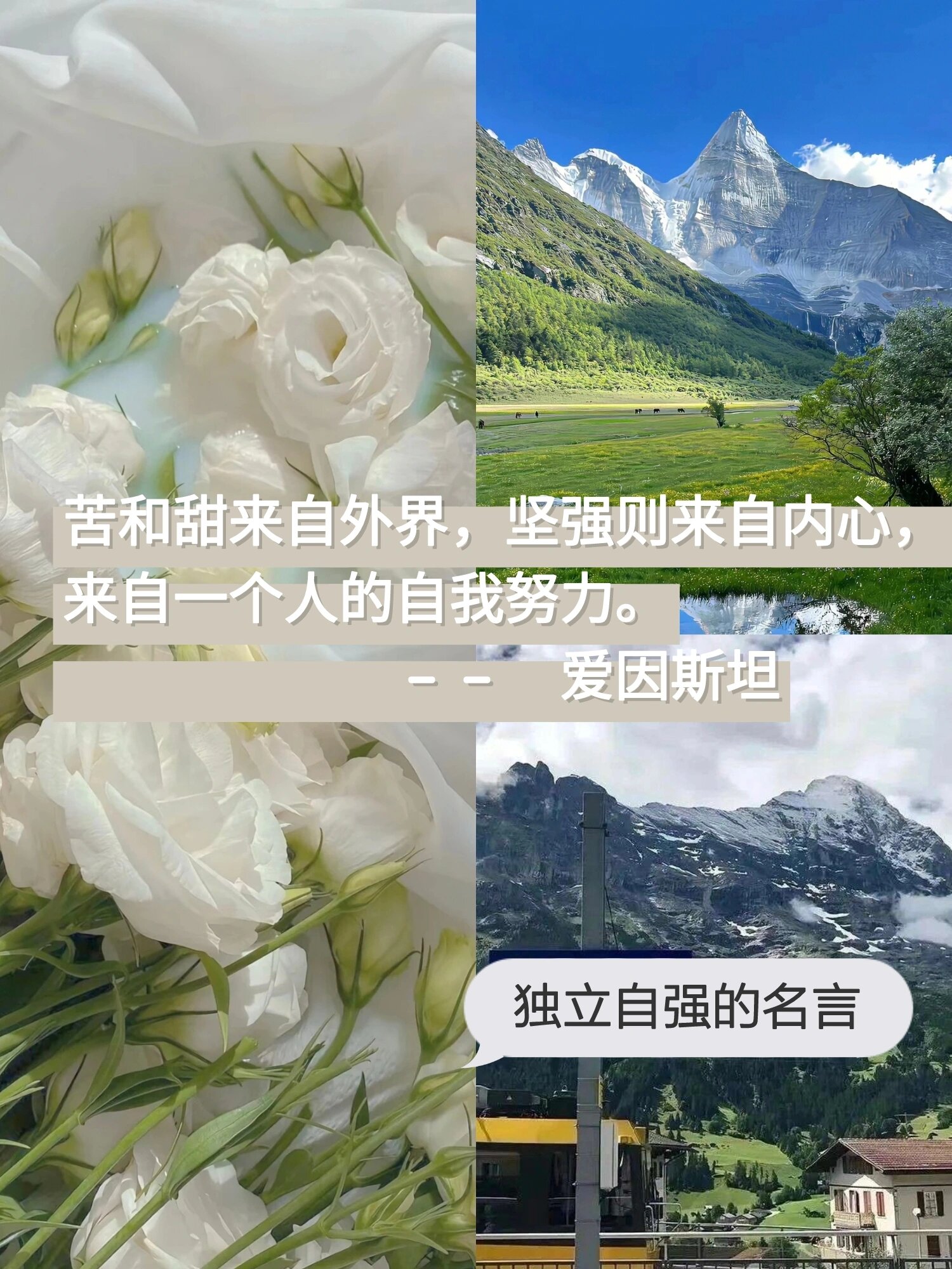 独立自强的名言