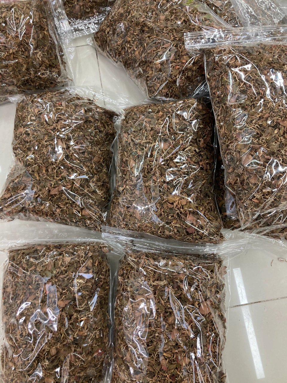 金线莲价格便宜 自用非常好价格也便宜,一斤只需要450元需要的来