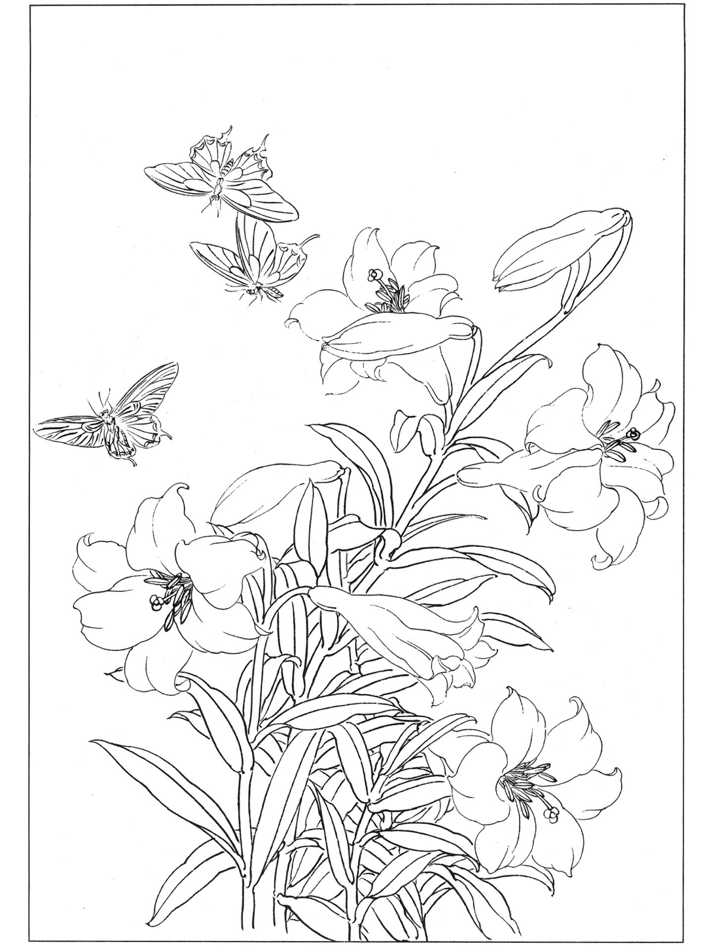 白描工笔线稿 高清白描画稿