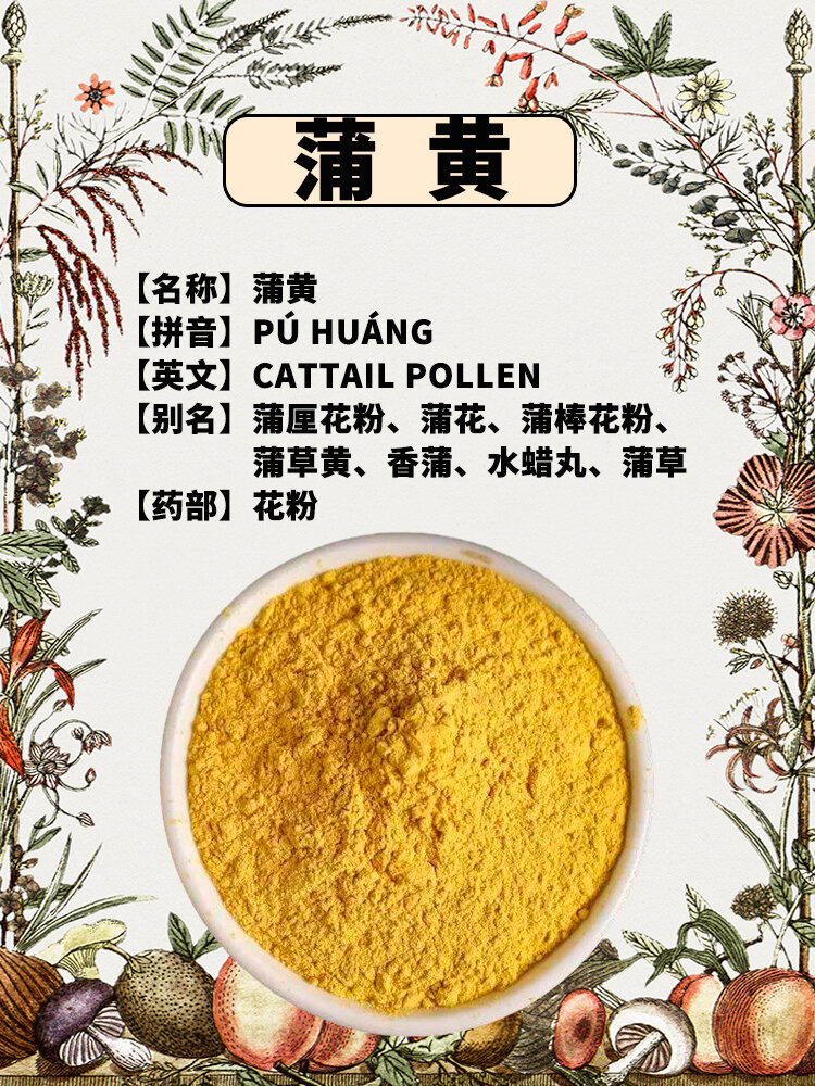 【拼音】pú huáng 【英文】cattail pollen 【别名】蒲厘花粉,蒲花