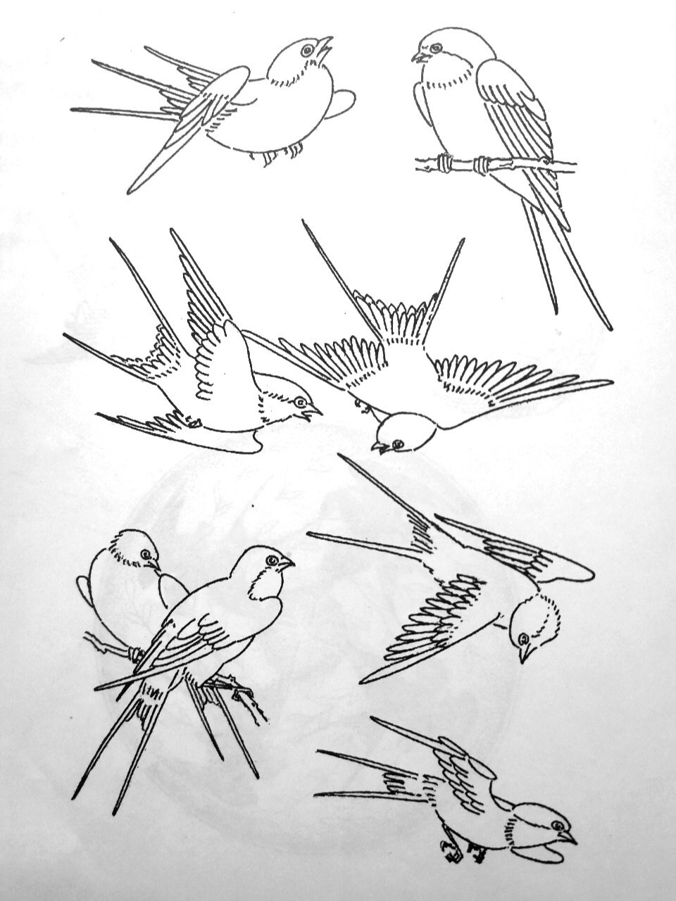 画痴🍀传统图案动物篇(燕) 燕子,是人们常见和喜爱的候鸟古人对燕