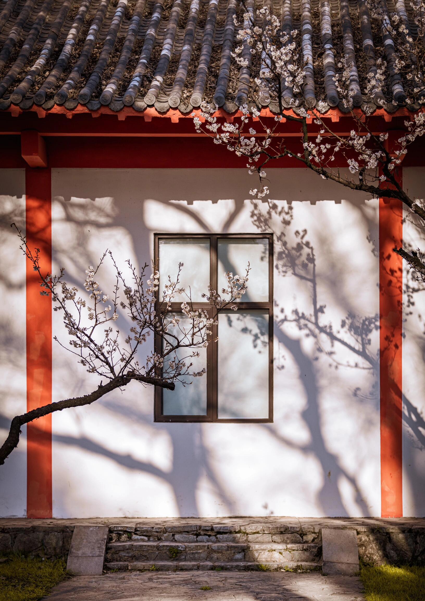 我在南京收集"花窗" 是窗花,也是花窗, 春天的小