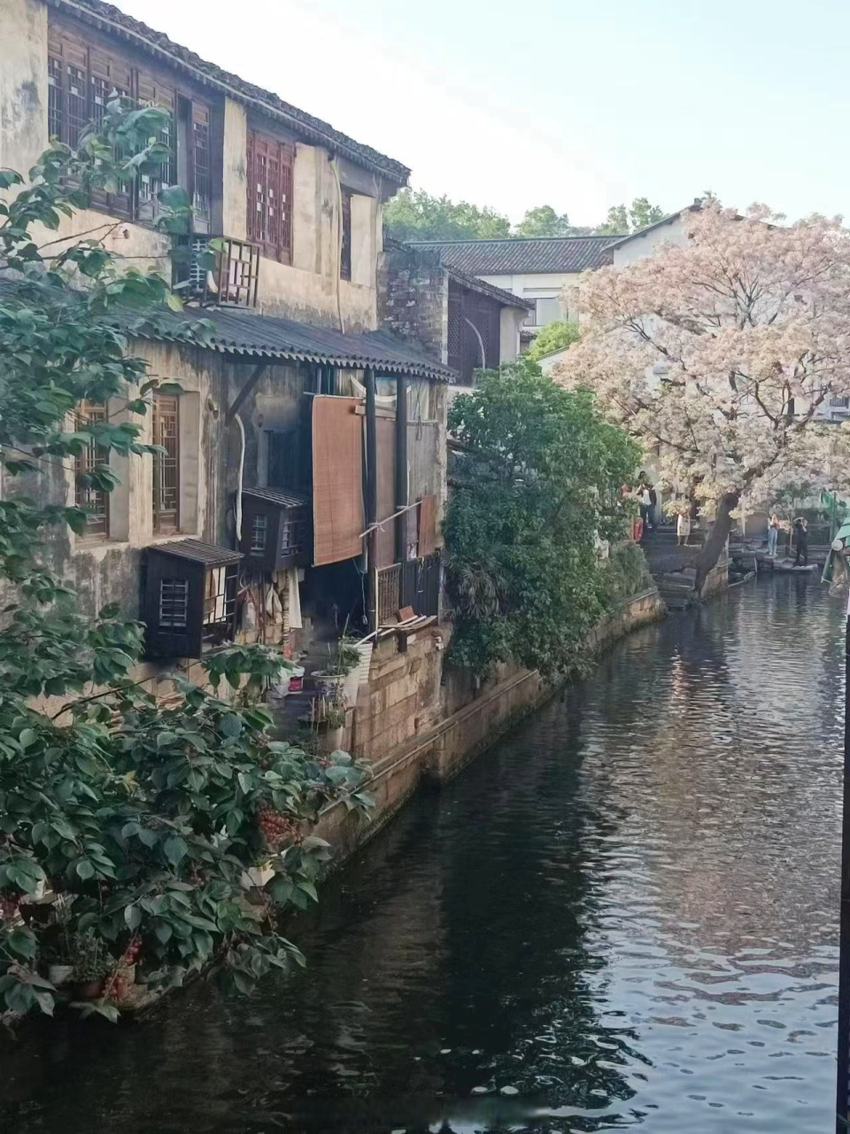 金华职业技术学院##带着微博去旅行#  远赴人间惊鸿宴,一睹人间盛世