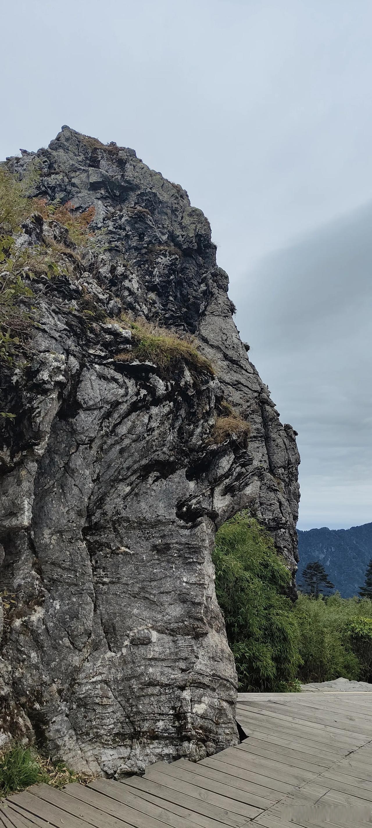 秋日随记神农架板壁岩,各种形态各异的石头